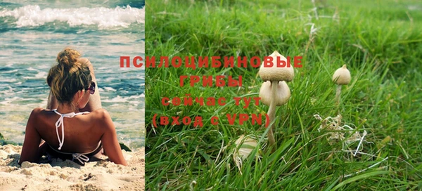 амф Козловка