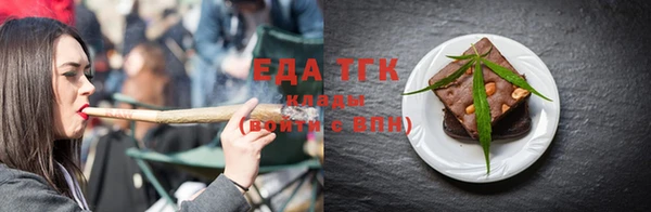 индика Касимов