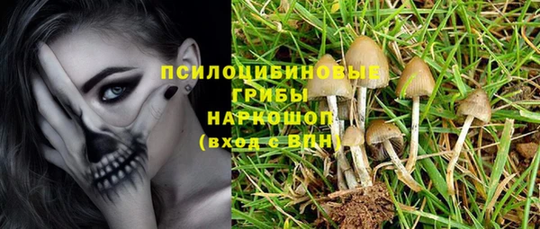 прущая мука Кинешма