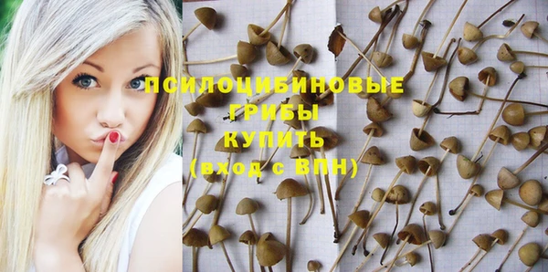 индика Касимов
