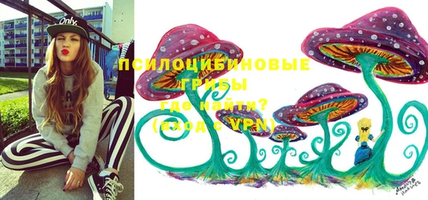 прущая мука Кинешма