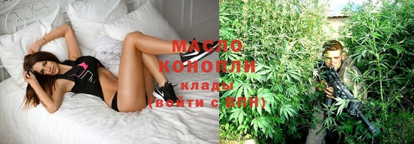 индика Касимов