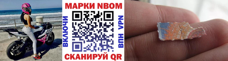 darknet наркотические препараты  Куртамыш  Марки N-bome 1,8мг 